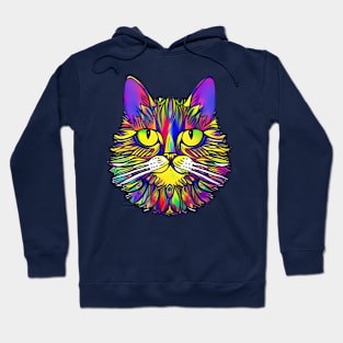 Trippy Cat Hoodie